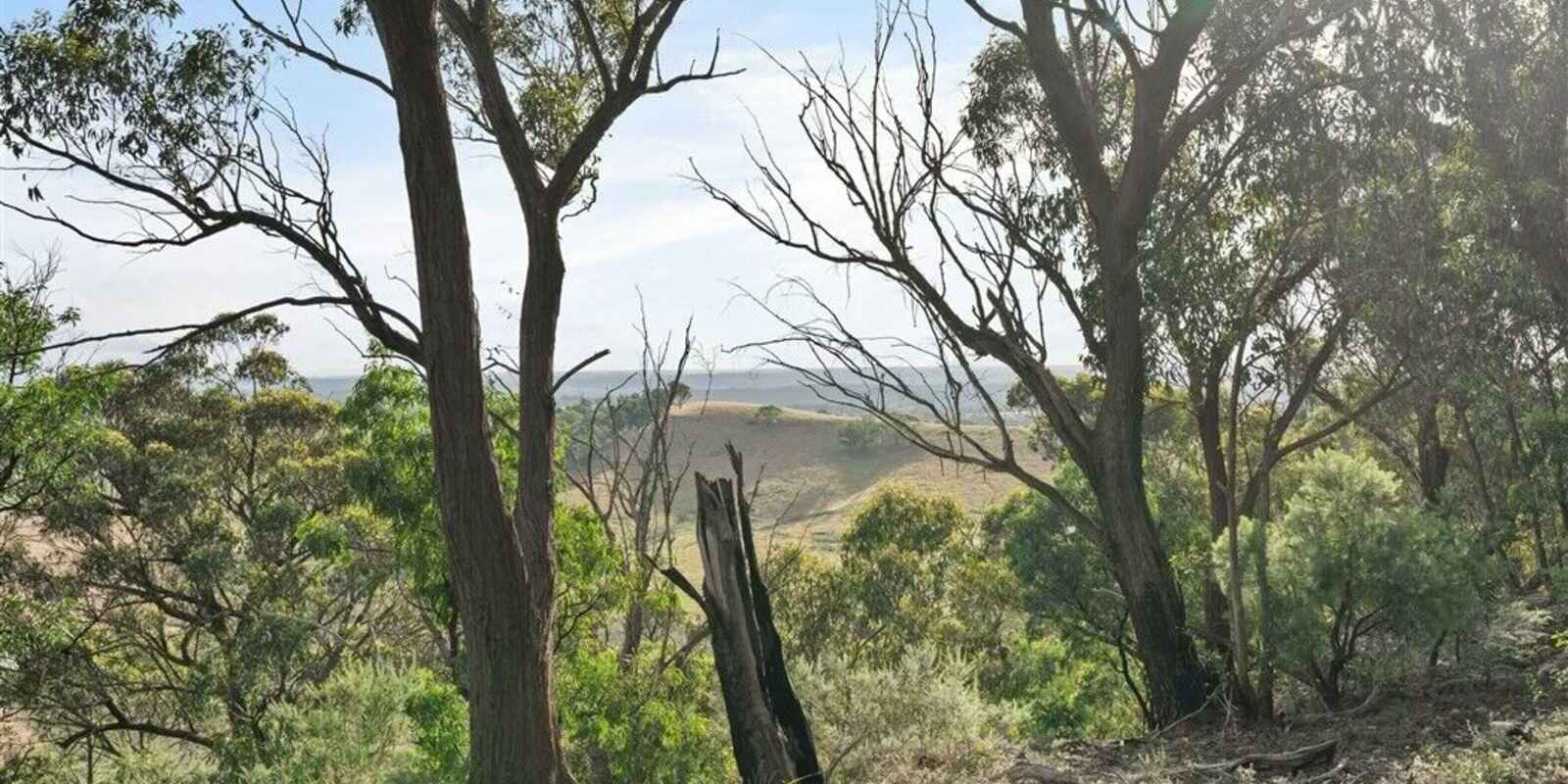 501 Tugalong Road Canyonleigh