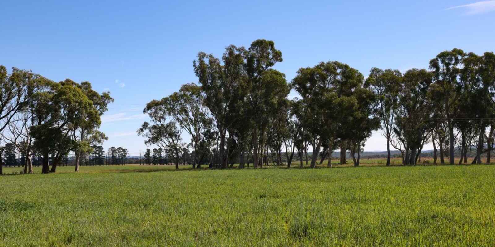 710 Inverary Road Paddys River