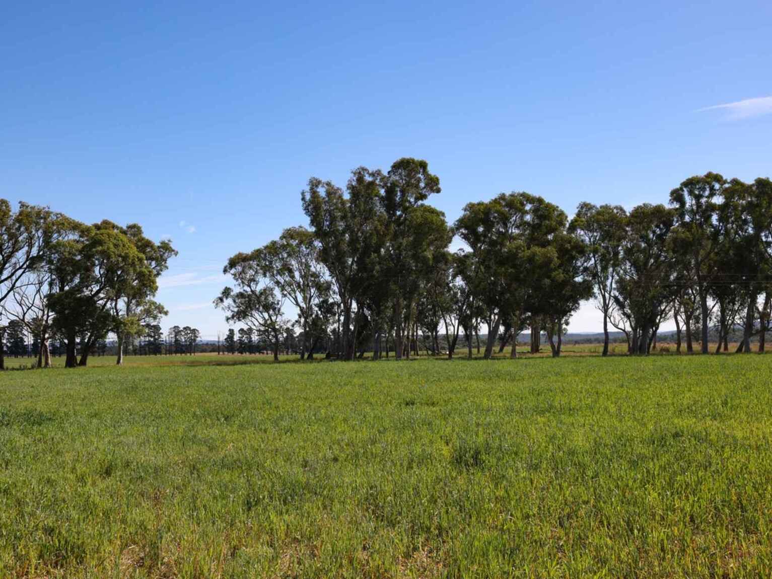 710 Inverary Road Paddys River