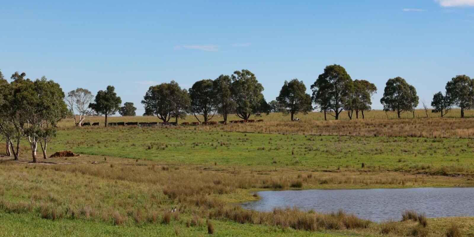 710 Inverary Road Paddys River