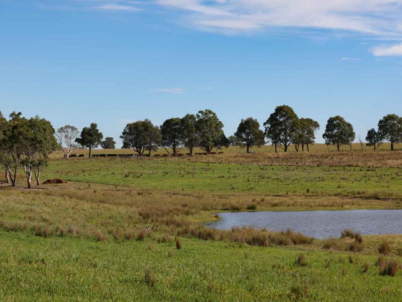 710 Inverary Road Paddys River