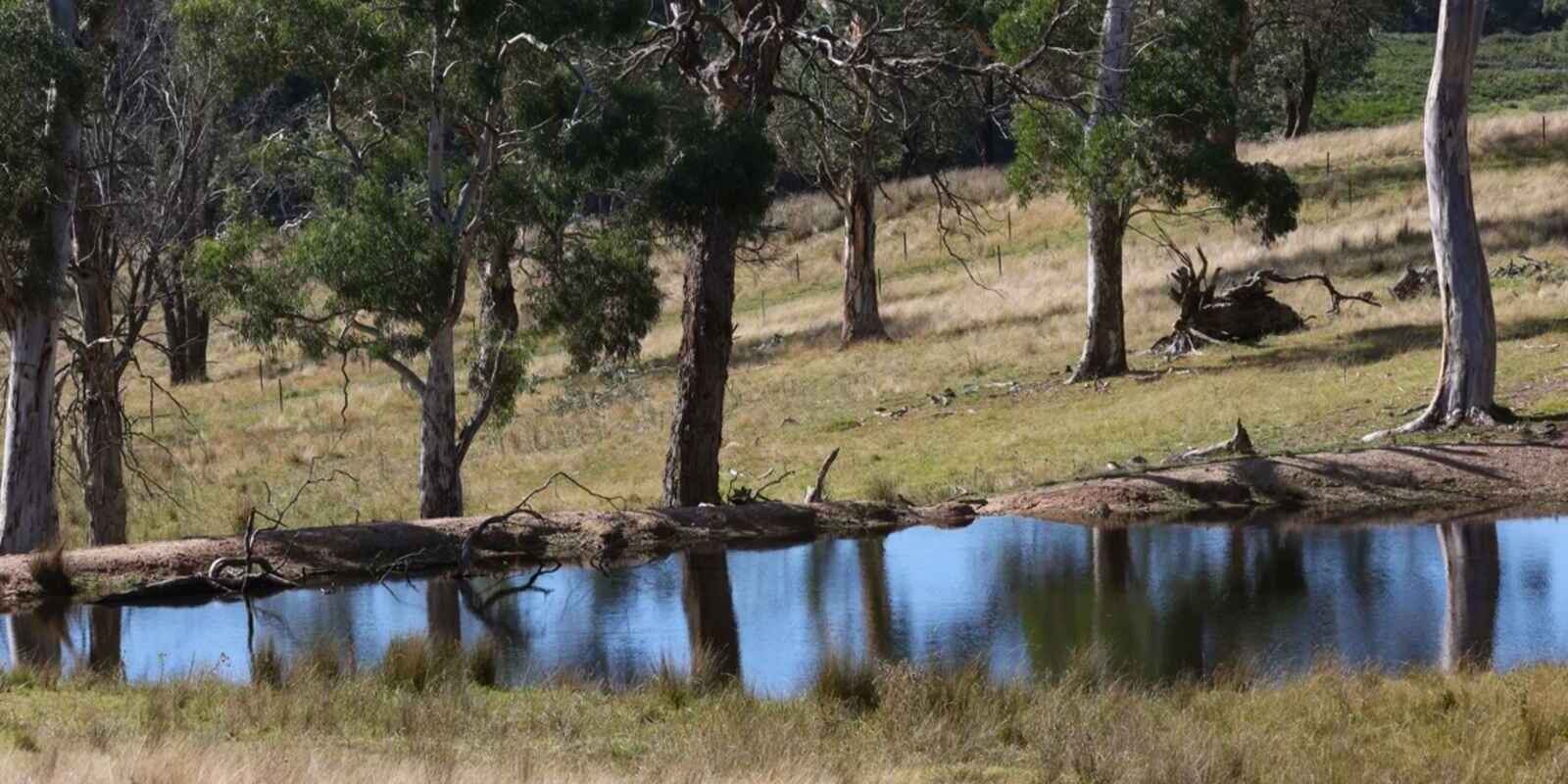 710 Inverary Road Paddys River