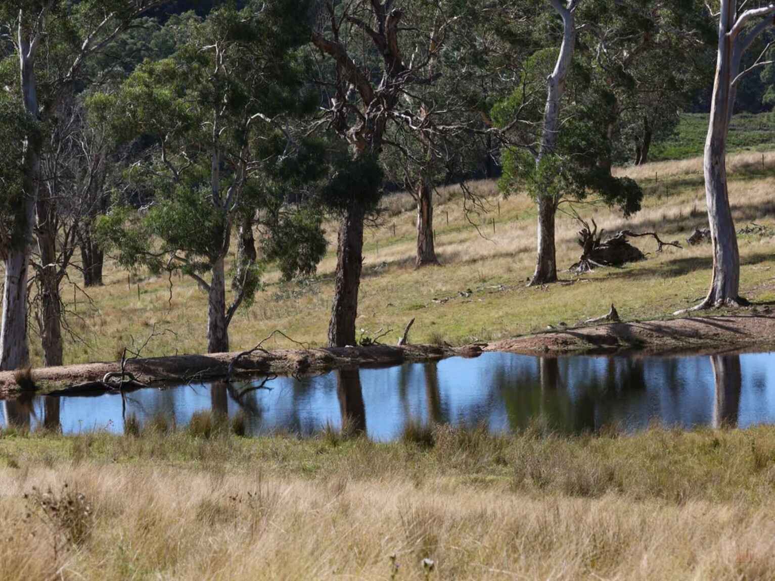 710 Inverary Road Paddys River