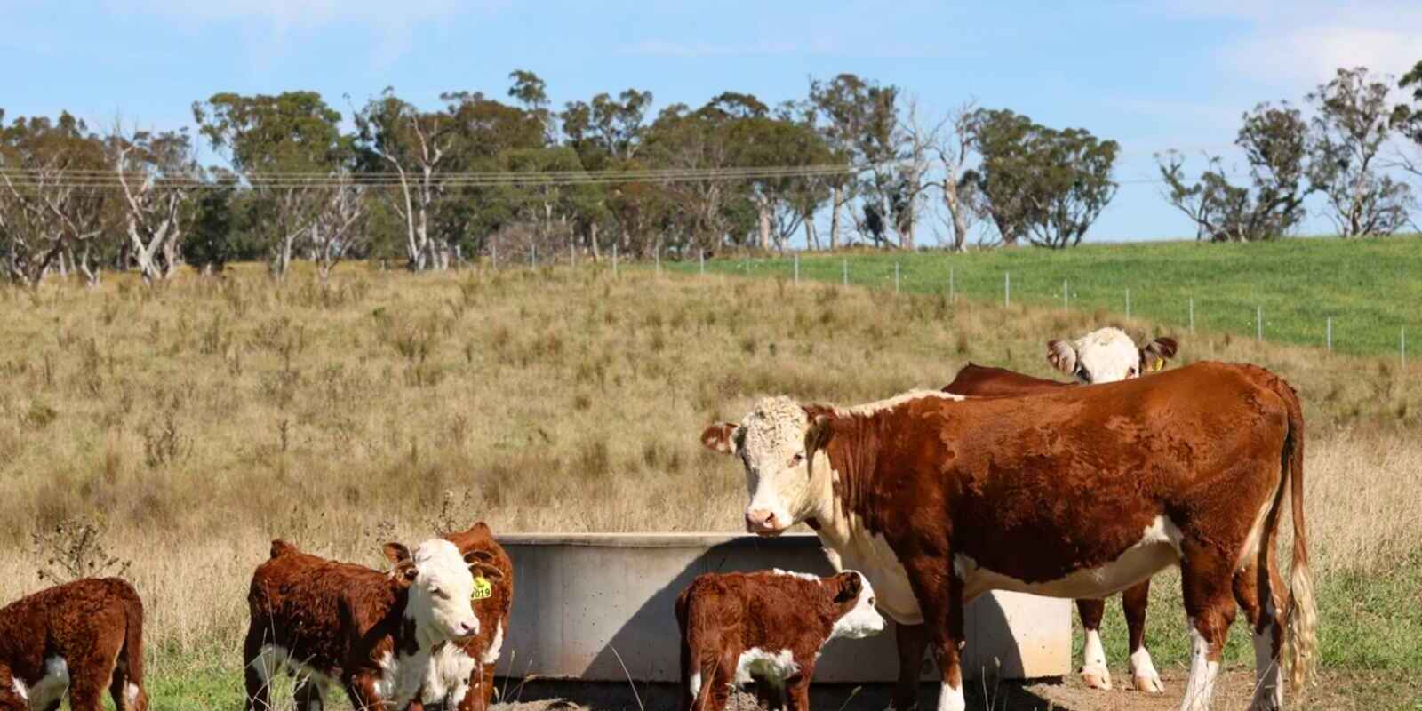 710 Inverary Road Paddys River