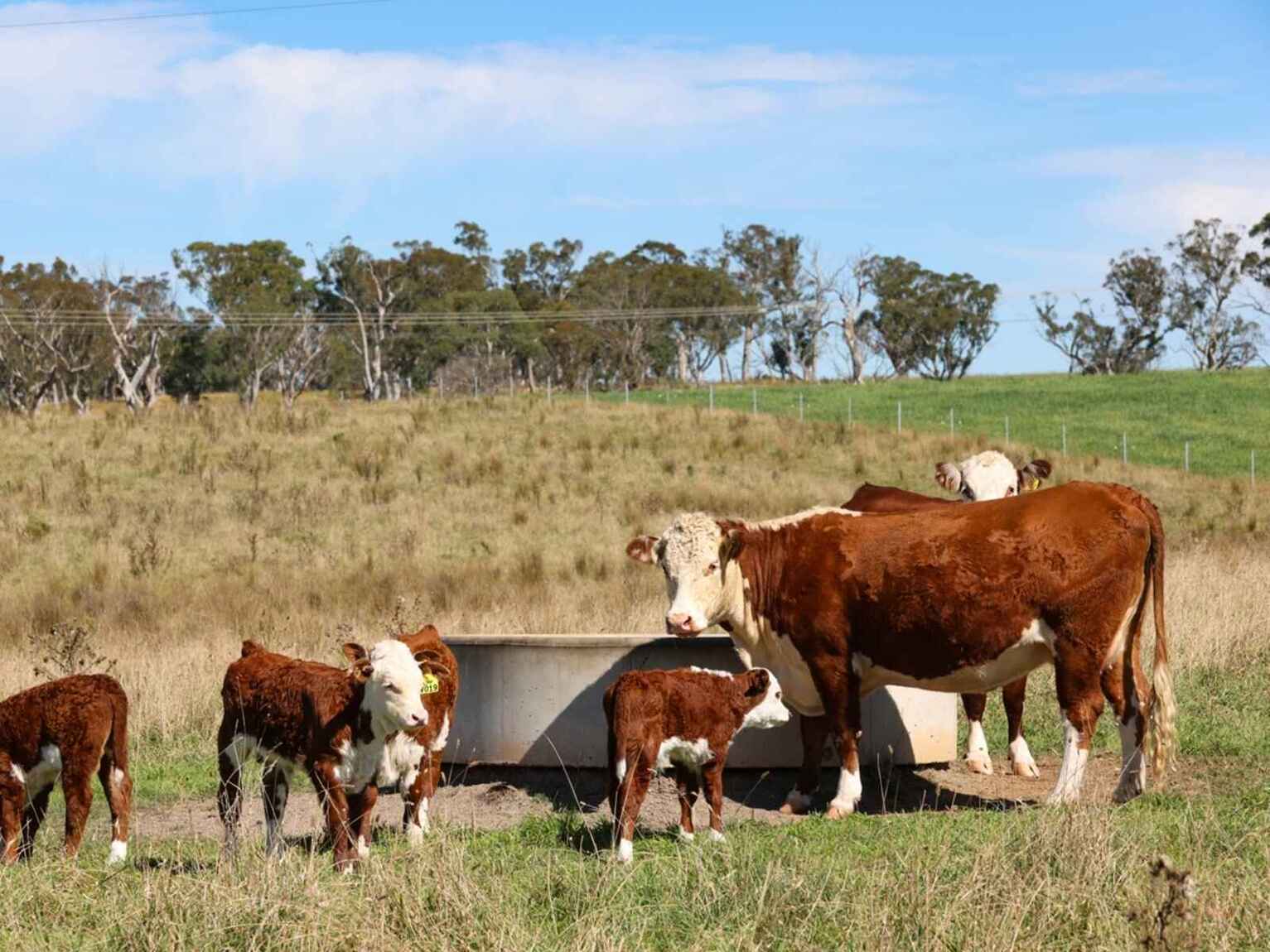 710 Inverary Road Paddys River