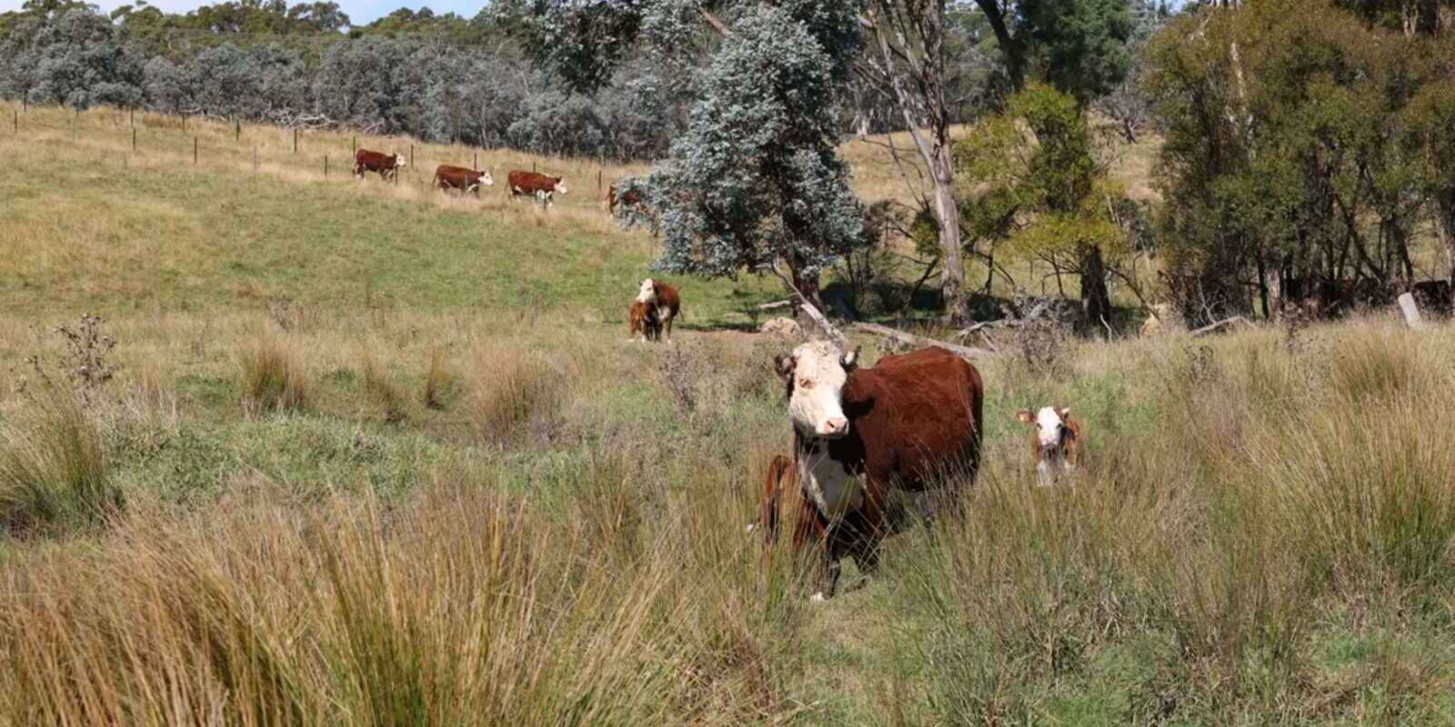 710 Inverary Road Paddys River