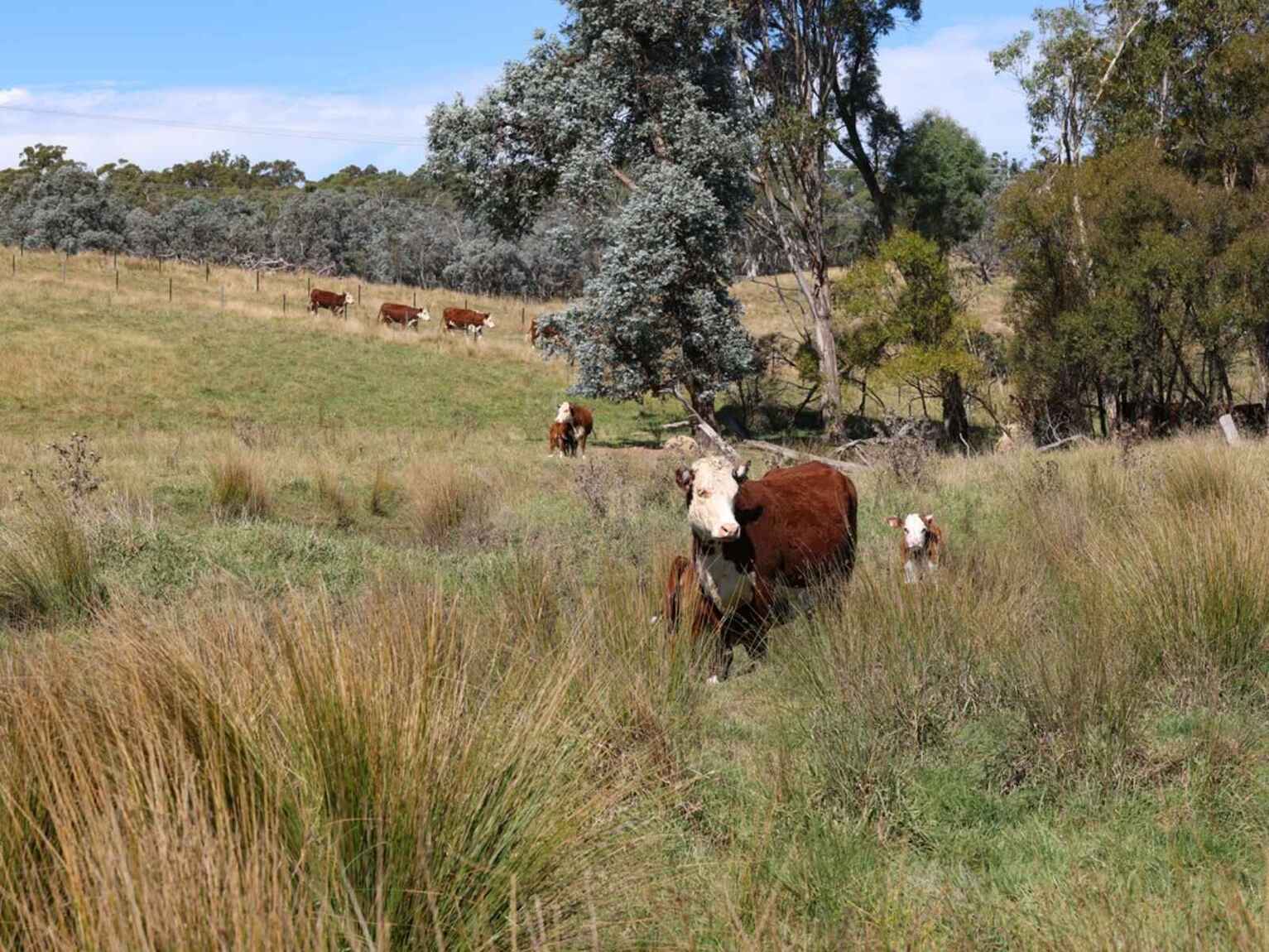 710 Inverary Road Paddys River