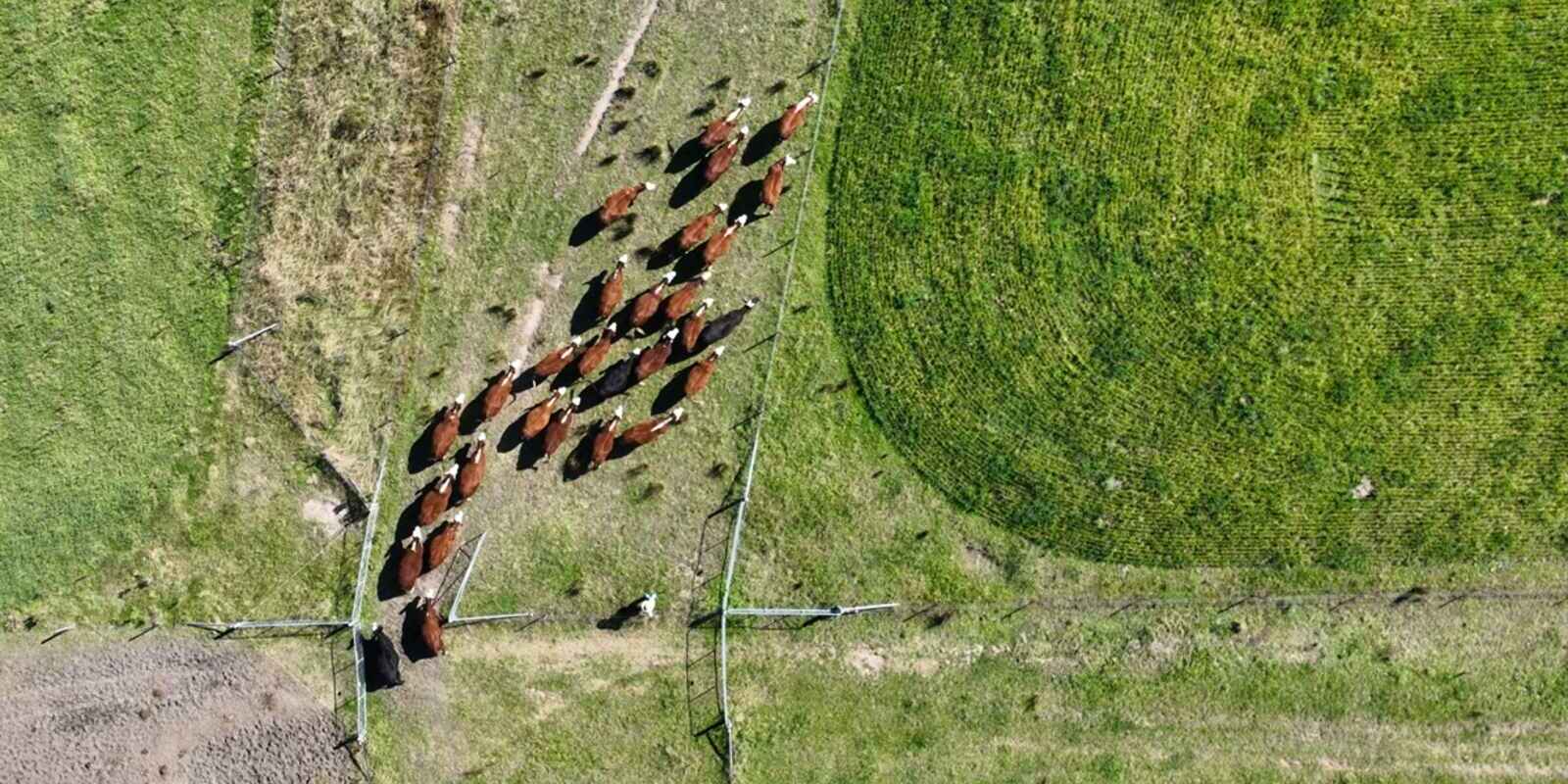 710 Inverary Road Paddys River