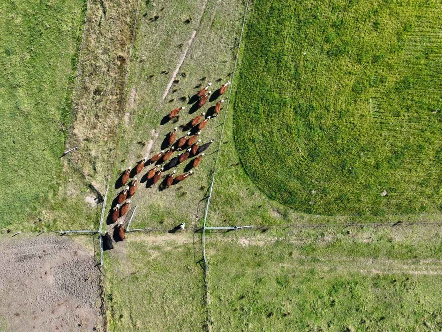 710 Inverary Road Paddys River