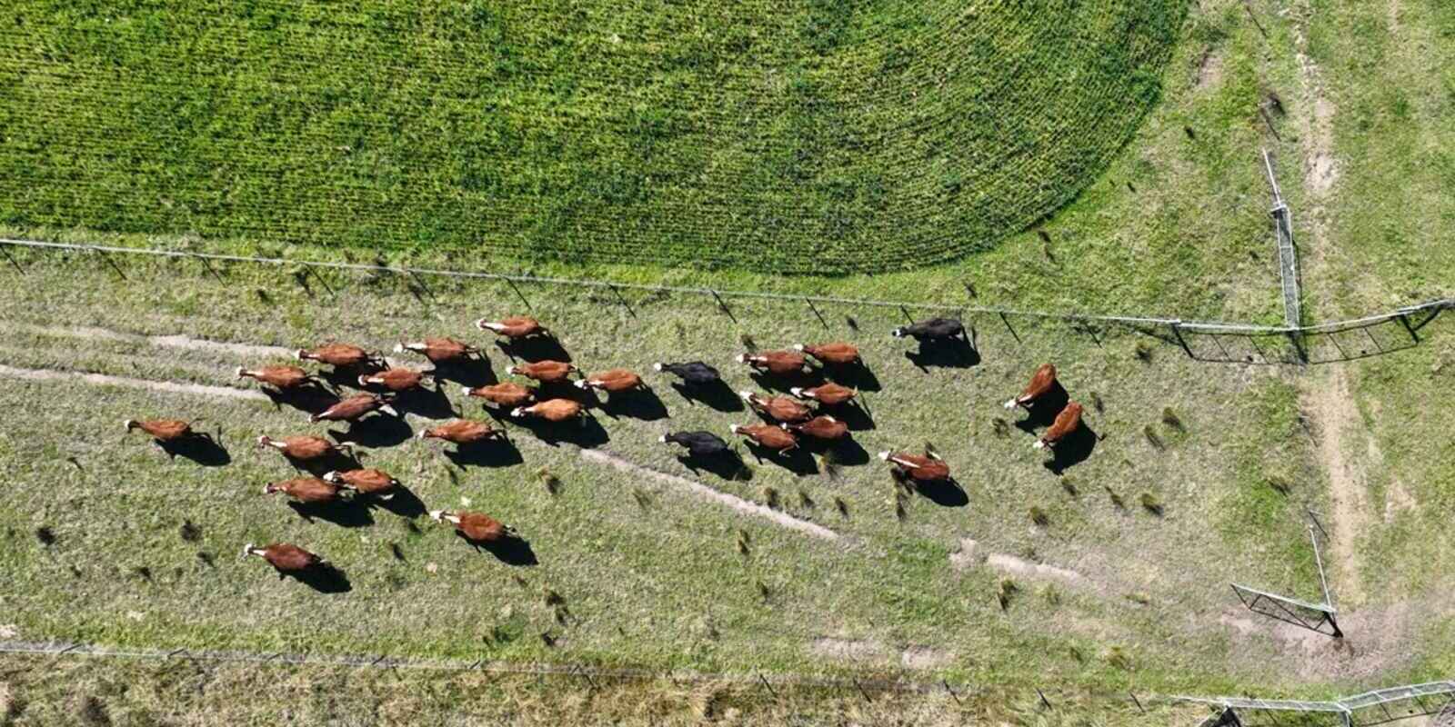 710 Inverary Road Paddys River