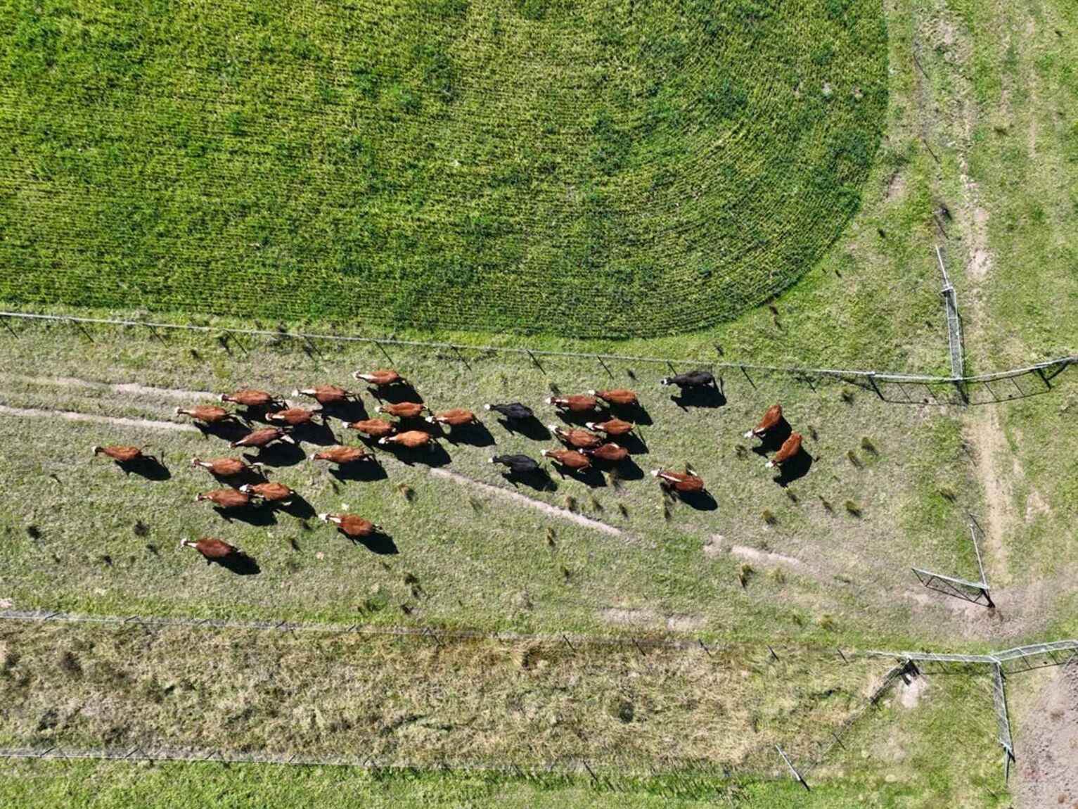 710 Inverary Road Paddys River