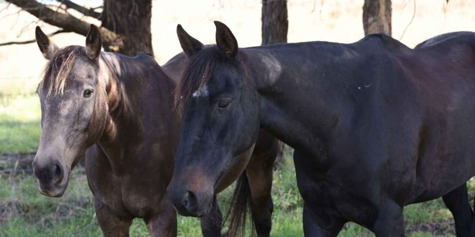 710 Inverary Road Paddys River