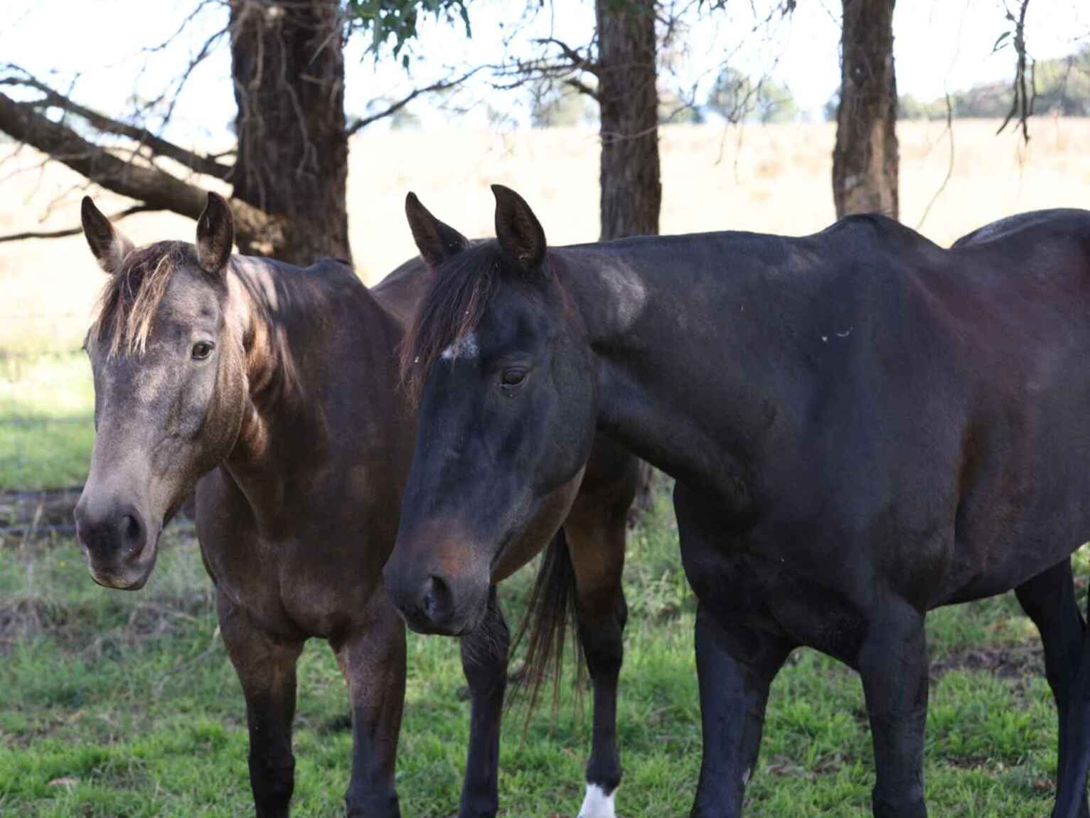 710 Inverary Road Paddys River