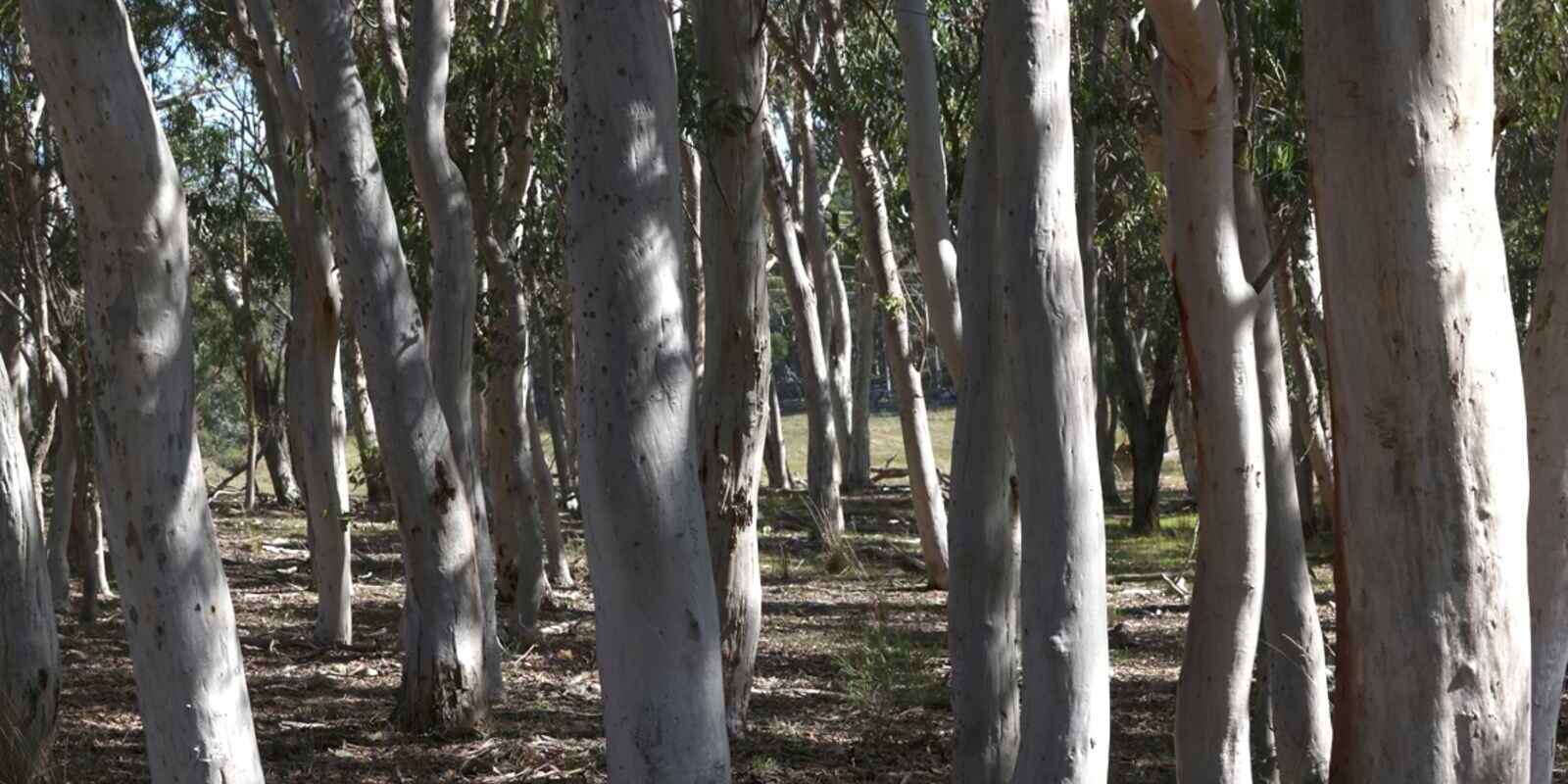 710 Inverary Road Paddys River