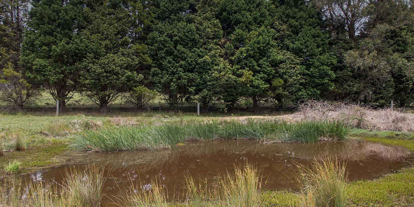 746 Sheepwash Road Avoca