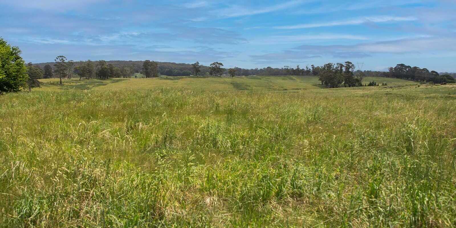 746 Sheepwash Road Avoca