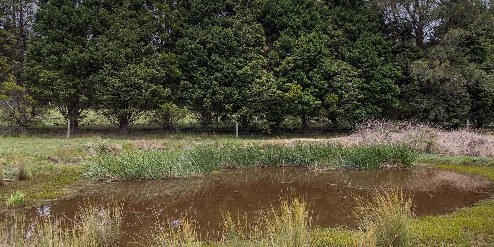 746 Sheepwash Road Avoca