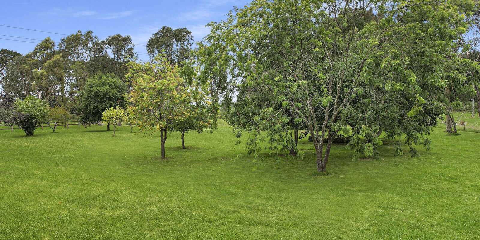 42 Suttor Road Moss Vale 42 Suttor Road Moss Vale