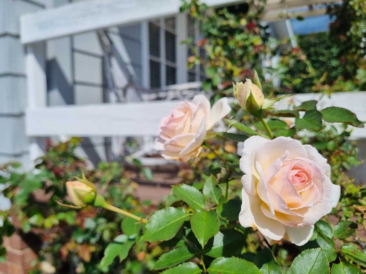 19 Hill Street Bundanoon