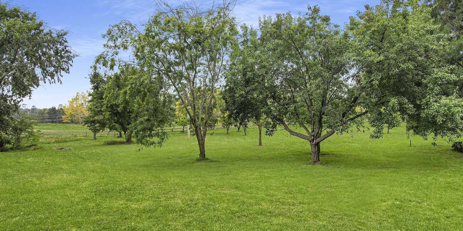 42 Suttor Road Moss Vale