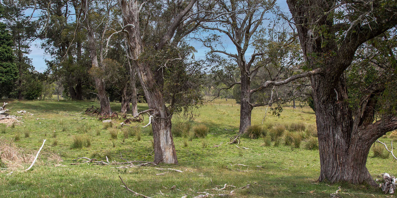 746 Sheepwash Road Avoca