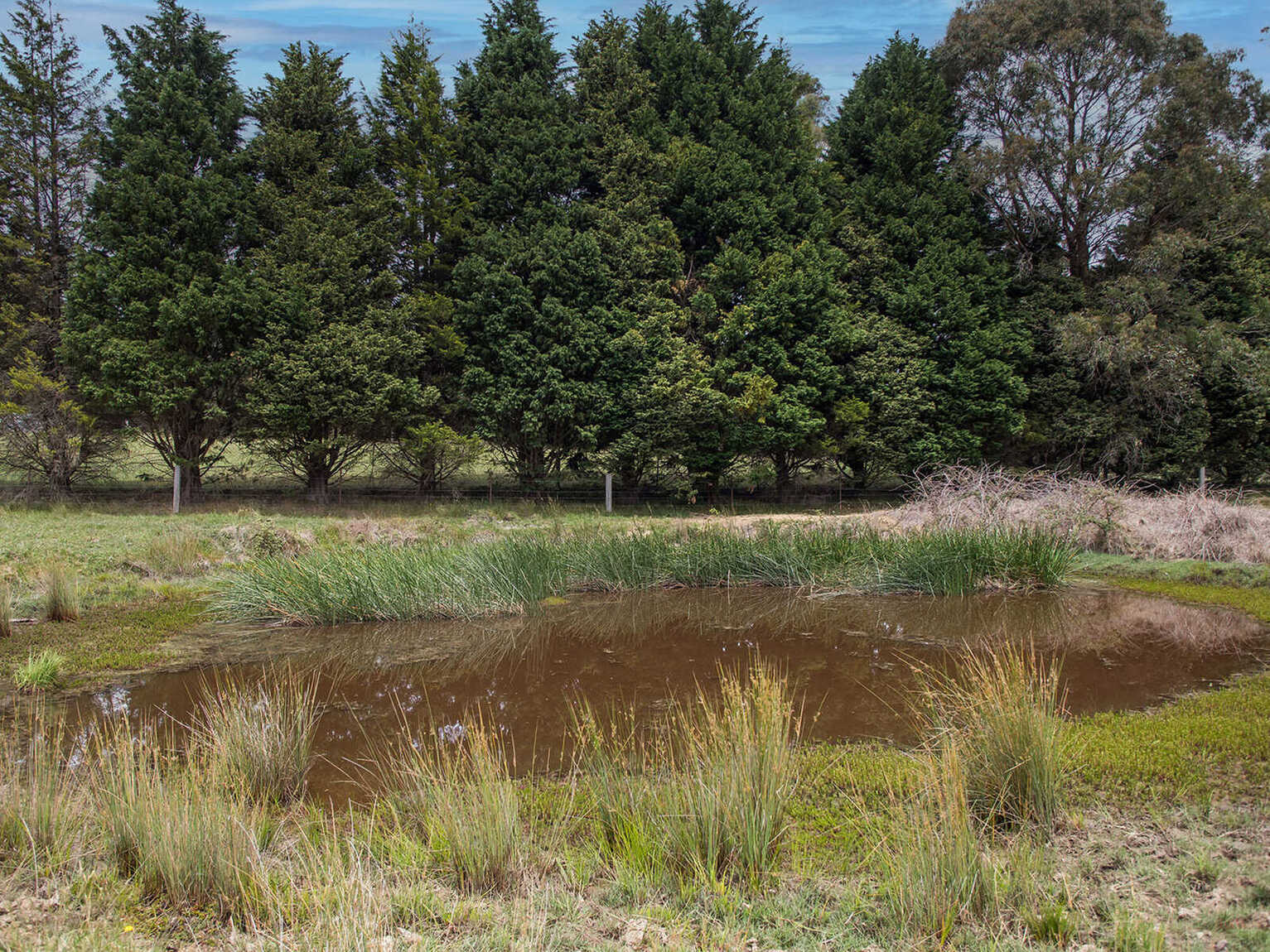 746 Sheepwash Road Avoca
