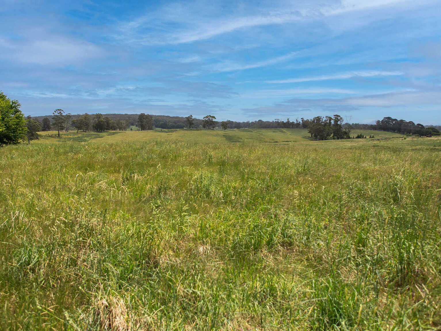 746 Sheepwash Road Avoca