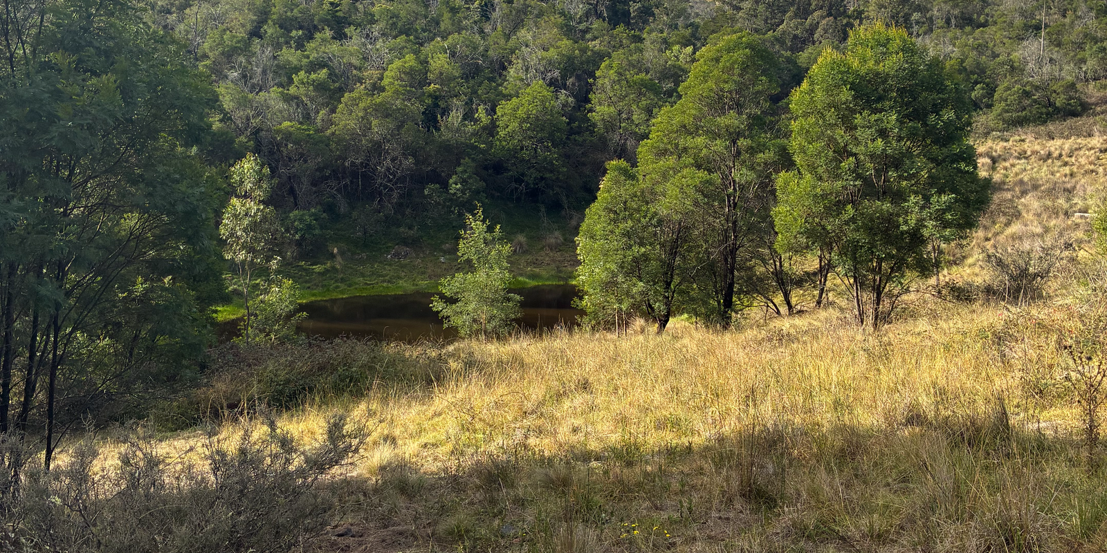 200 Pulpit Rock Road Bullio