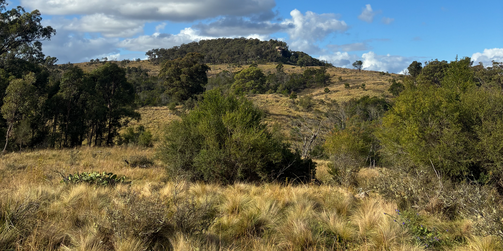 200 Pulpit Rock Road Bullio