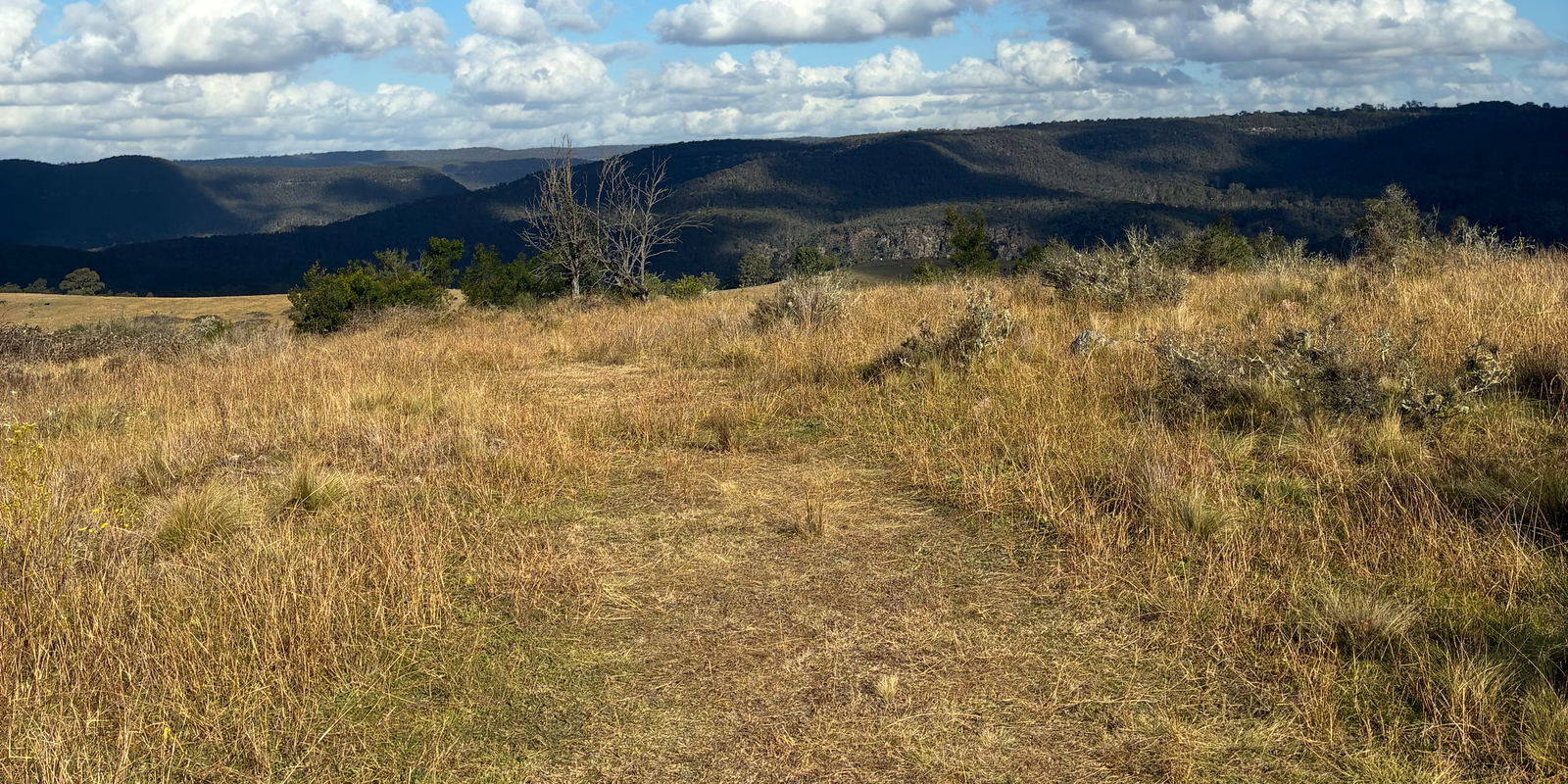 200 Pulpit Rock Road Bullio