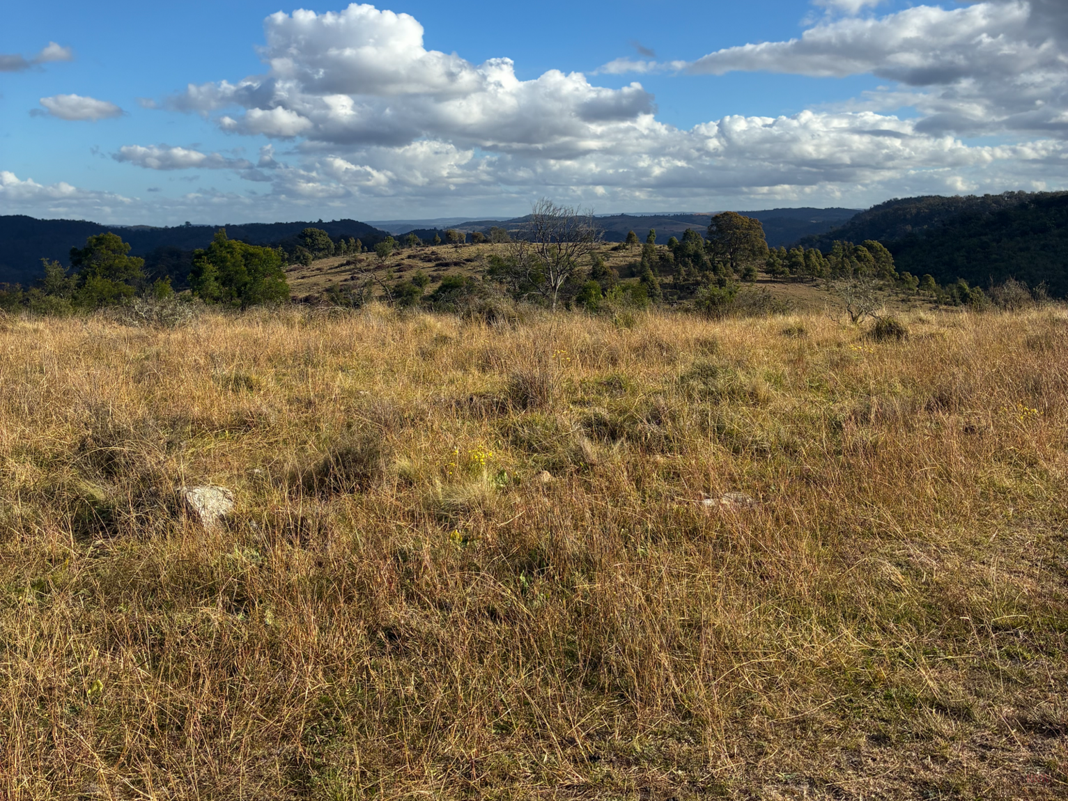 200 Pulpit Rock Road Bullio