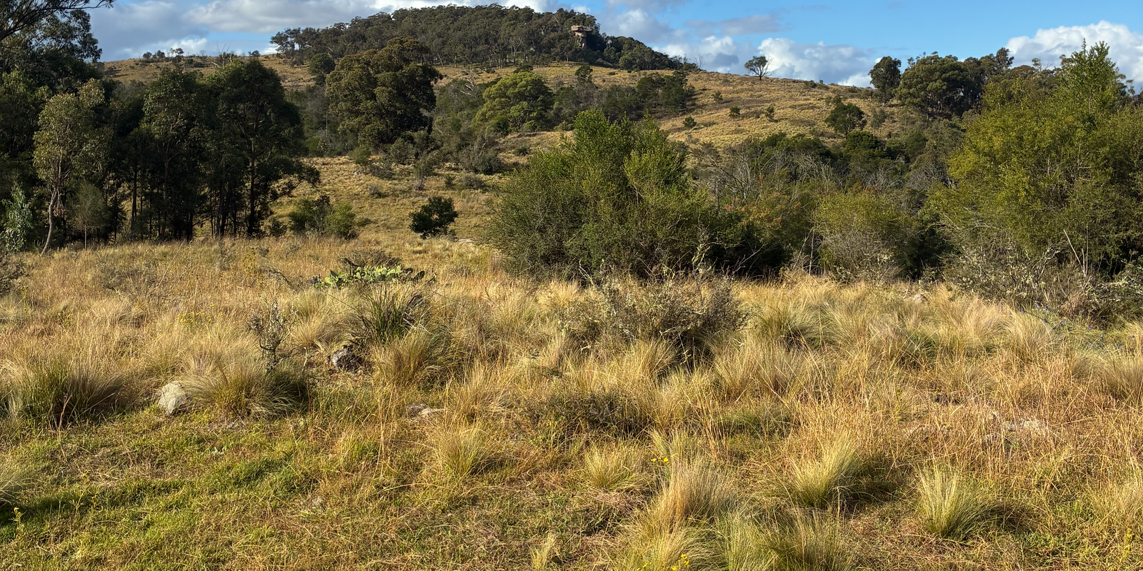 200 Pulpit Rock Road Bullio