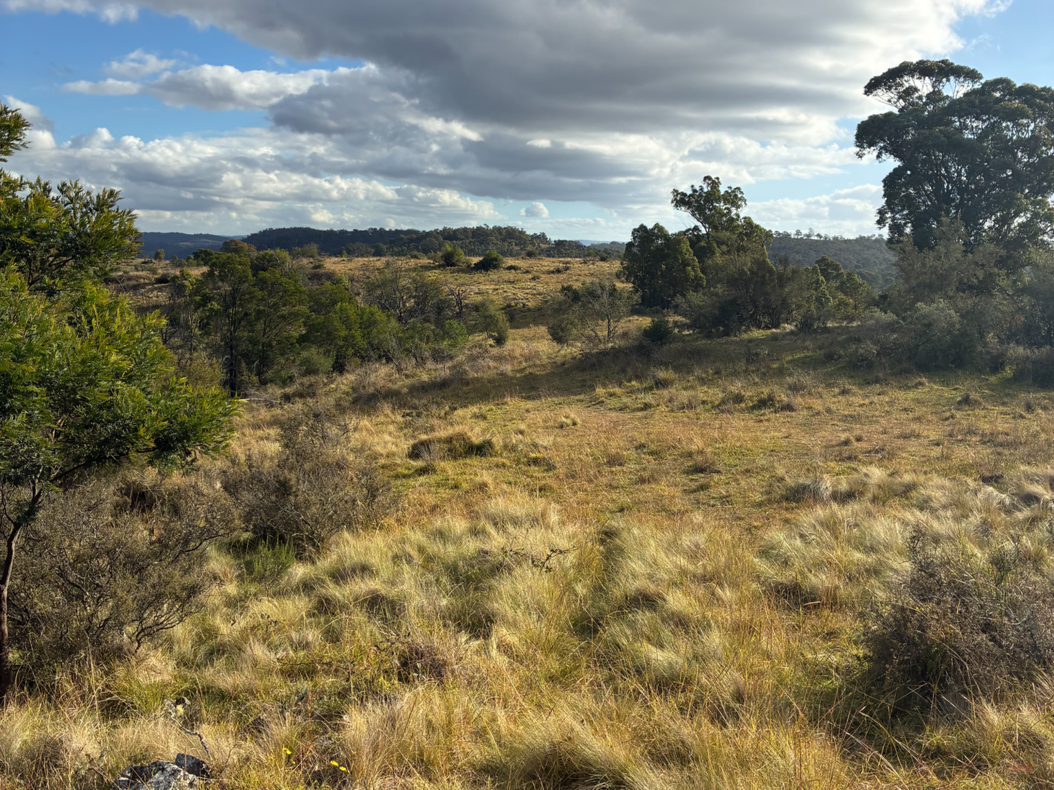 200 Pulpit Rock Road Bullio