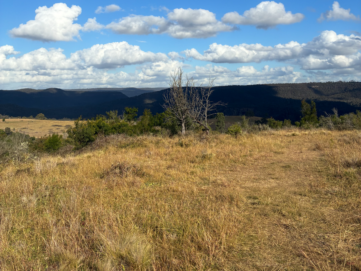 200 Pulpit Rock Road Bullio