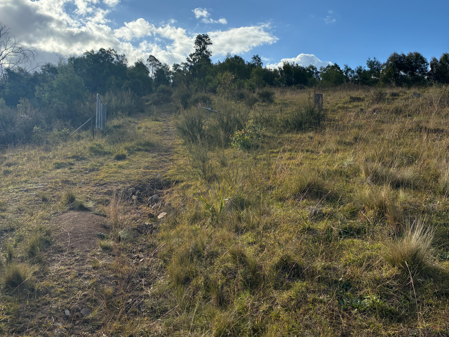 200 Pulpit Rock Road Bullio