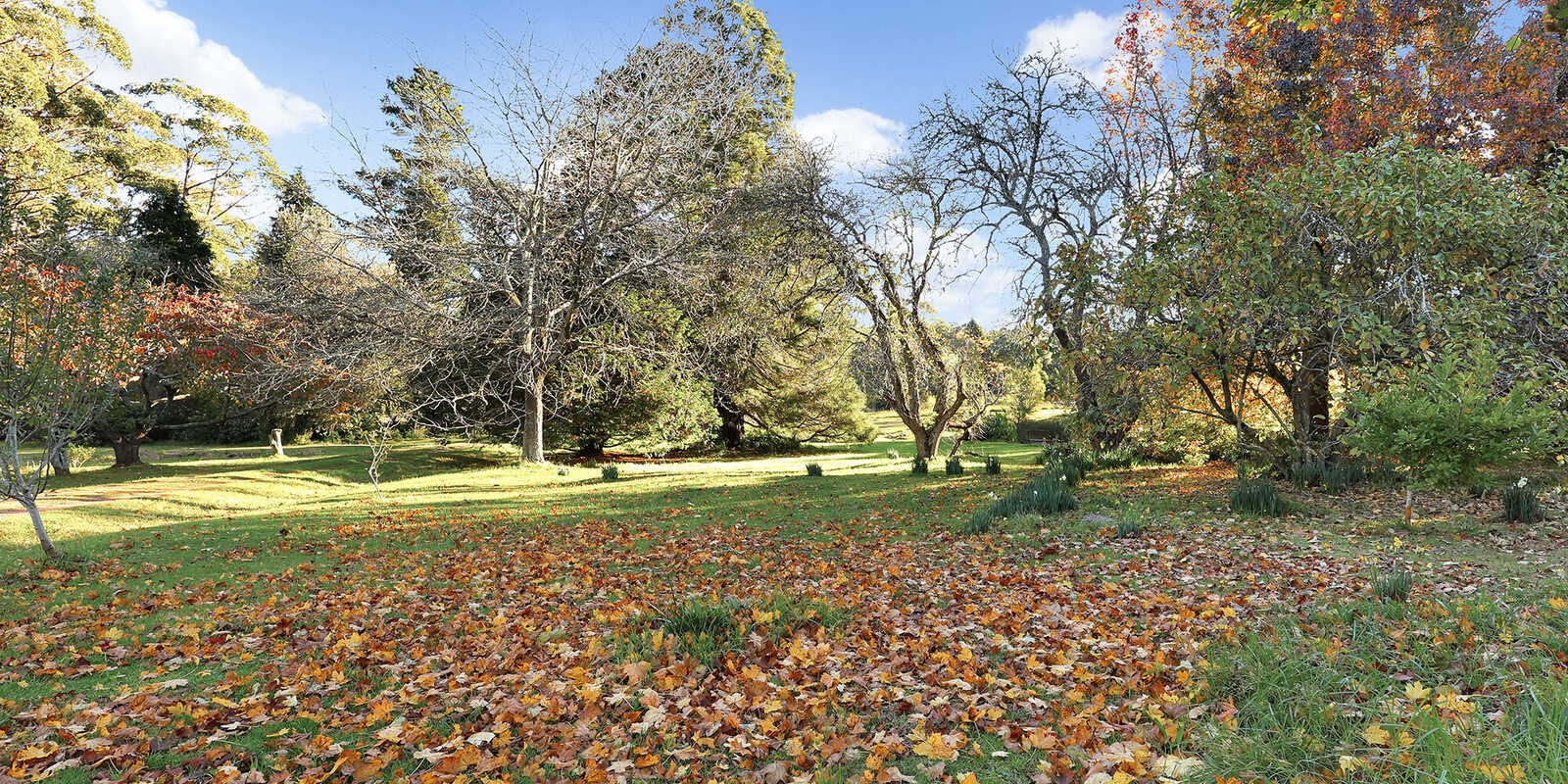 55 Yarrunga Road Wildes Meadow