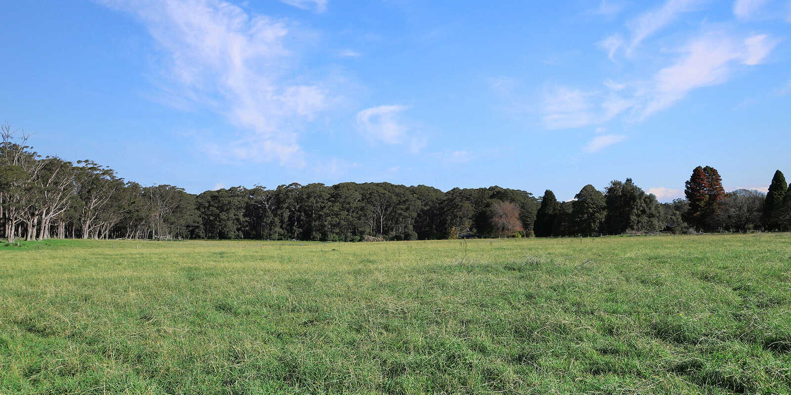 55 Yarrunga Road Wildes Meadow