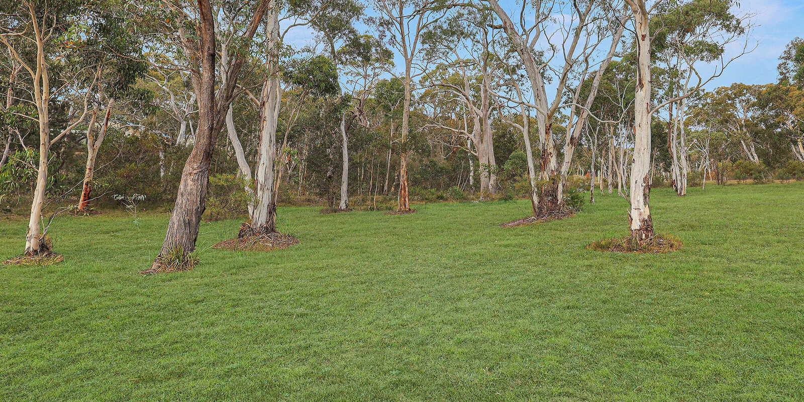 420 Mulwaree Drive Tallong