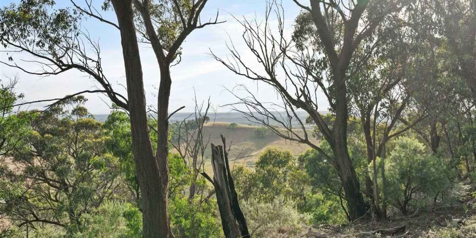 501 Tugalong Road Canyonleigh