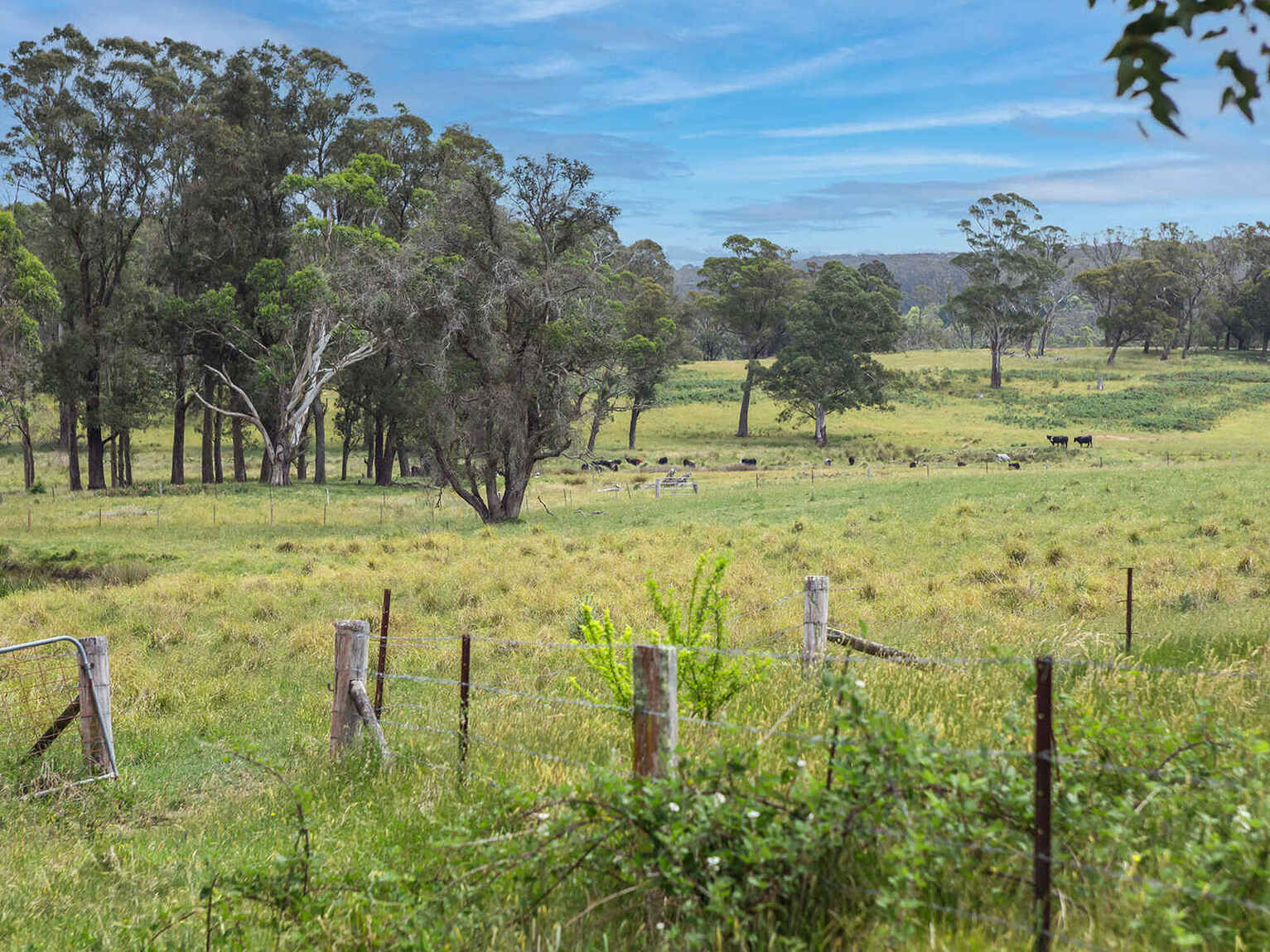 746 Sheepwash Road Avoca 746 Sheepwash Road Avoca