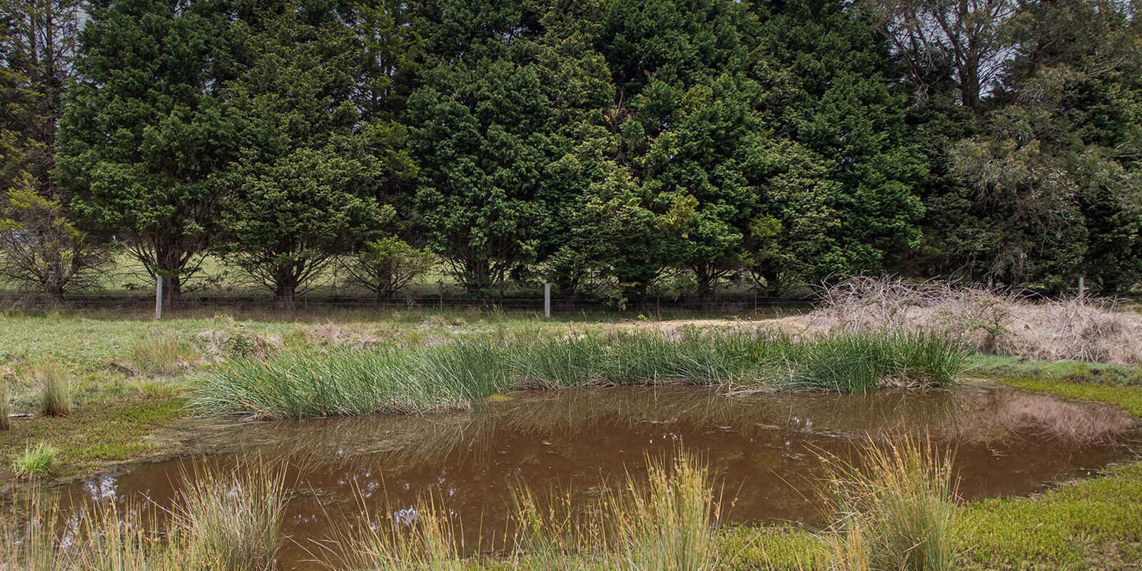 746 Sheepwash Road Avoca 746 Sheepwash Road Avoca