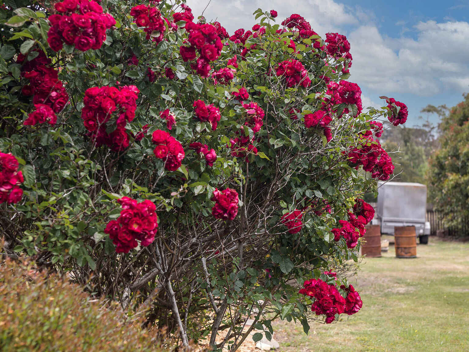 746 Sheepwash Road Avoca 746 Sheepwash Road Avoca