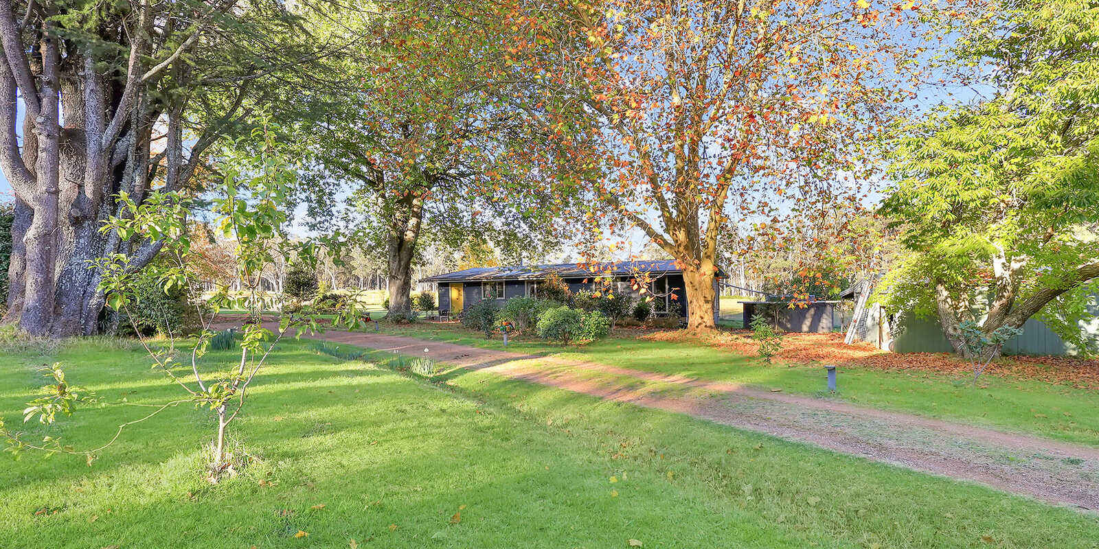 55 Yarrunga Road Wildes Meadow