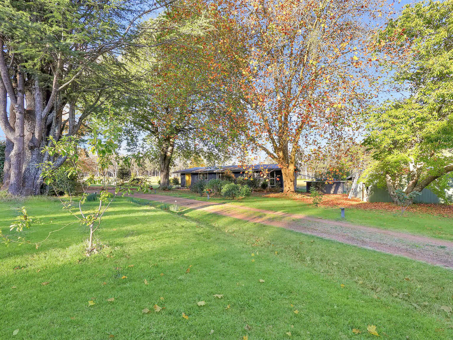 55 Yarrunga Road Wildes Meadow