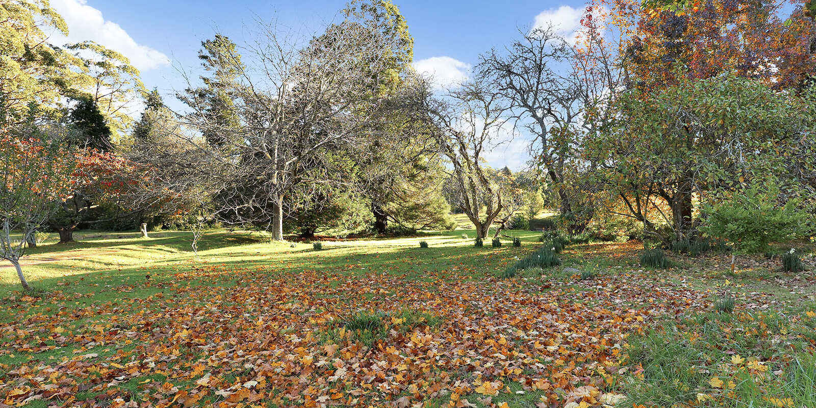 55 Yarrunga Road Wildes Meadow