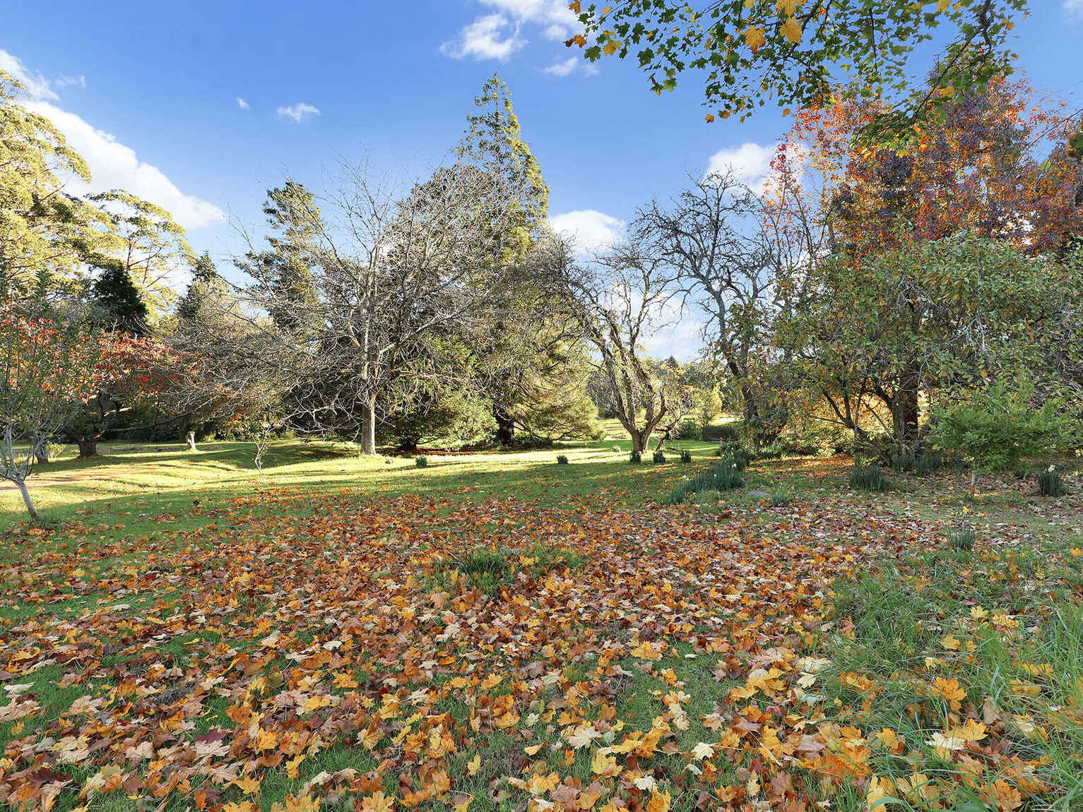 55 Yarrunga Road Wildes Meadow