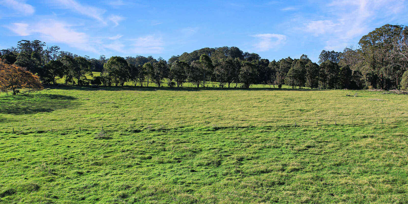 55 Yarrunga Road Wildes Meadow