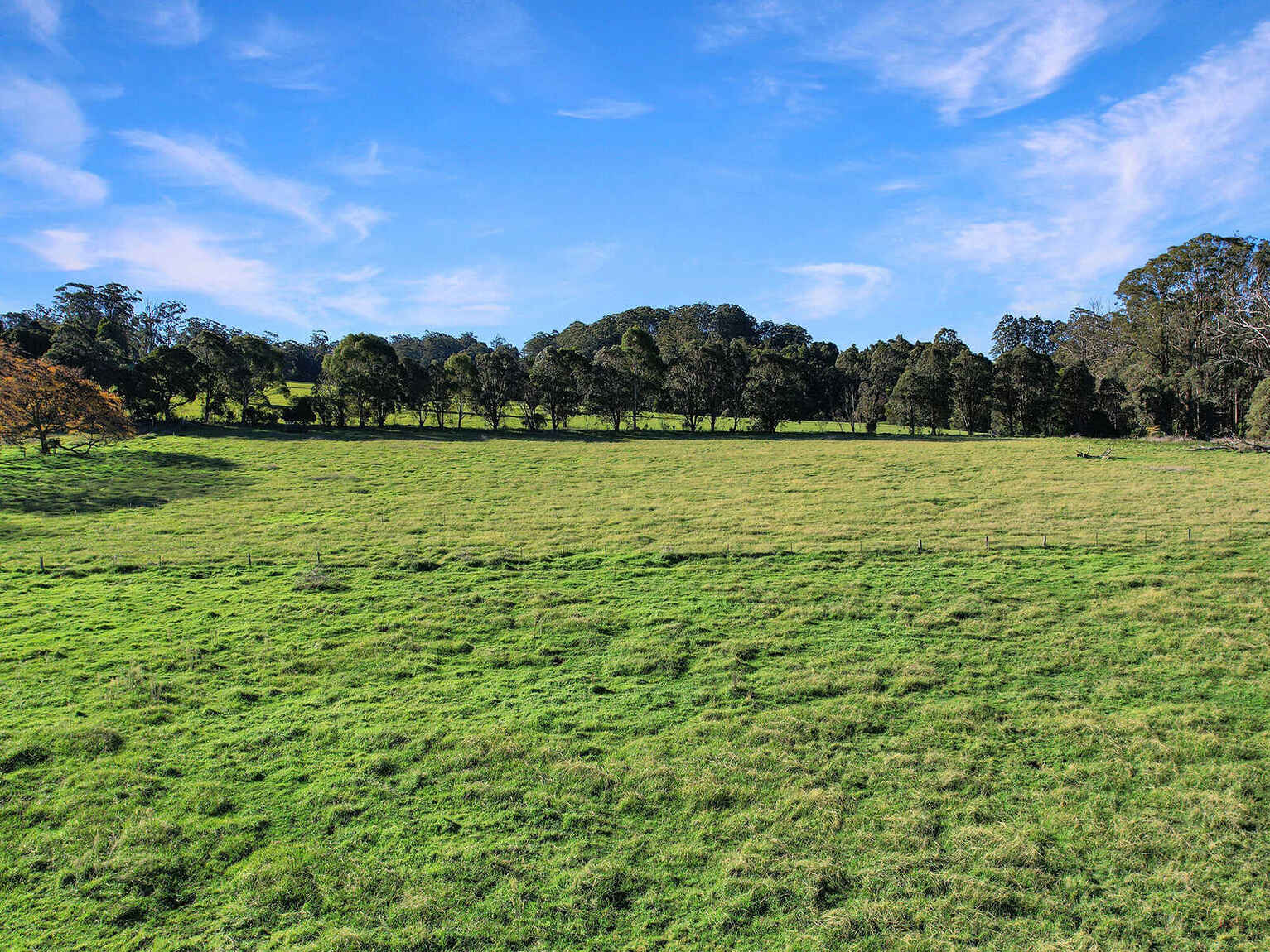 55 Yarrunga Road Wildes Meadow