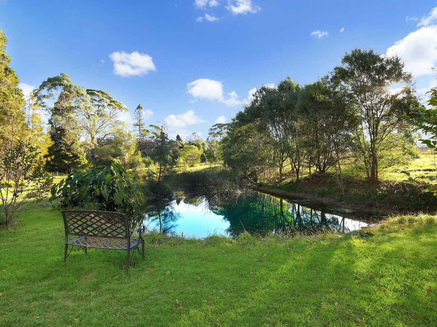 55 Yarrunga Road Wildes Meadow