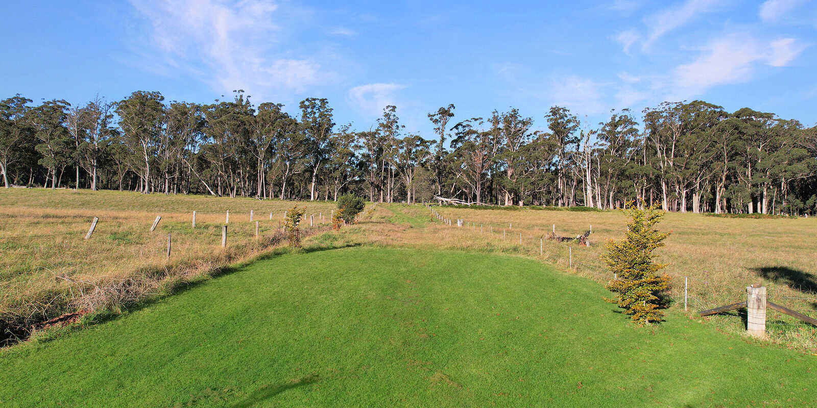 55 Yarrunga Road Wildes Meadow